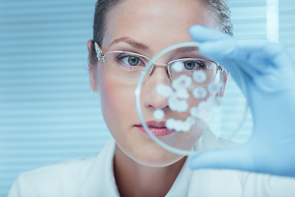 Looking through petri dish