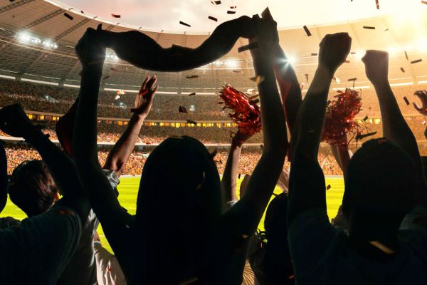 A crowd of sports fans in a stadium