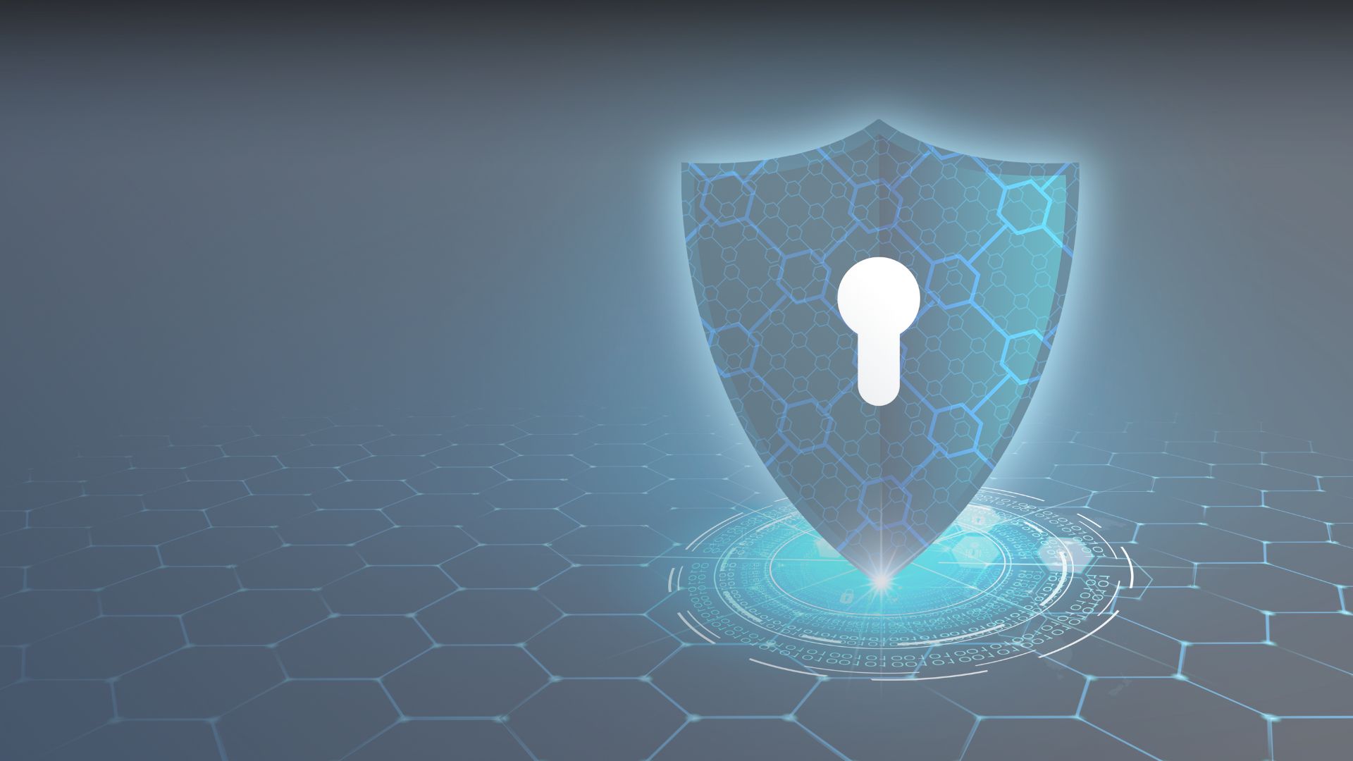 Image of a security shield 