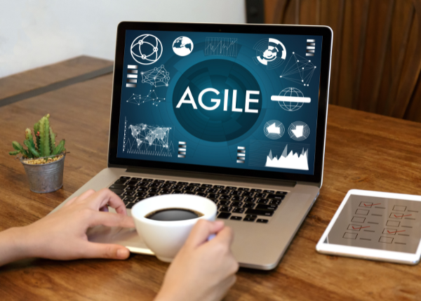 The Future of the PMO in an Agile World 
