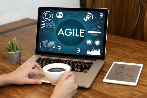 The Future of the PMO in an Agile World 