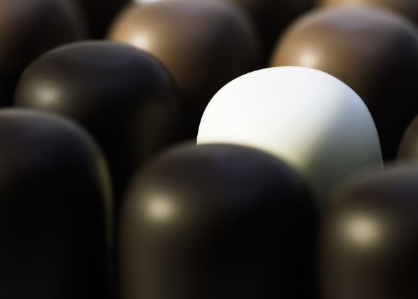 A single white stone amidst black stones