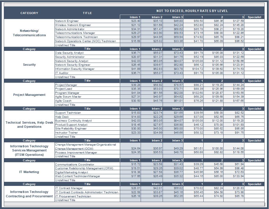 Excel pricing sheet for IT positions and levels page 2