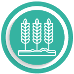 Agribusiness
