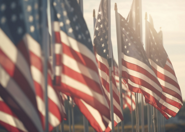 American Flags in sunlight
