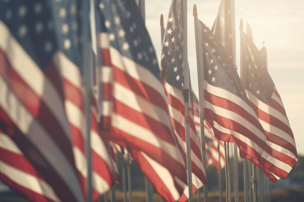 American Flags in sunlight