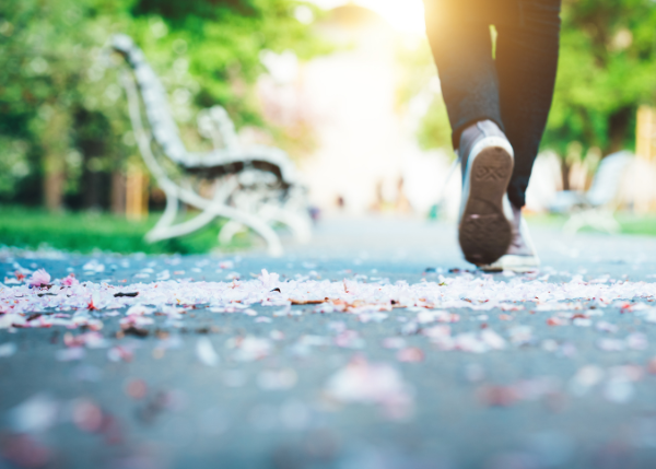 Person walking through a park with sun shining