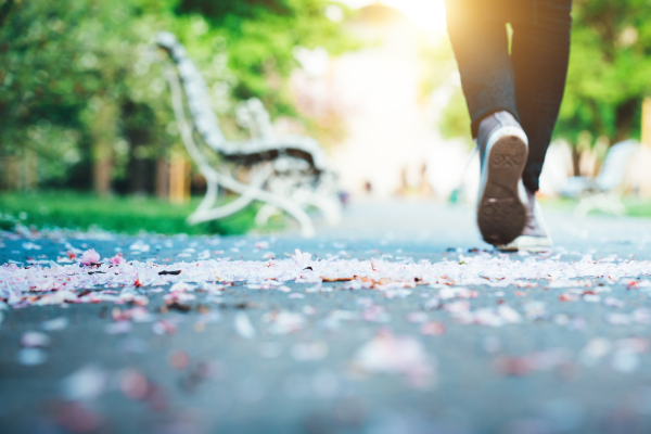 Person walking through a park with sun shining