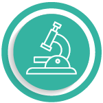 Research & Discovery 