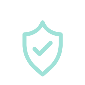 Security shield with check mark